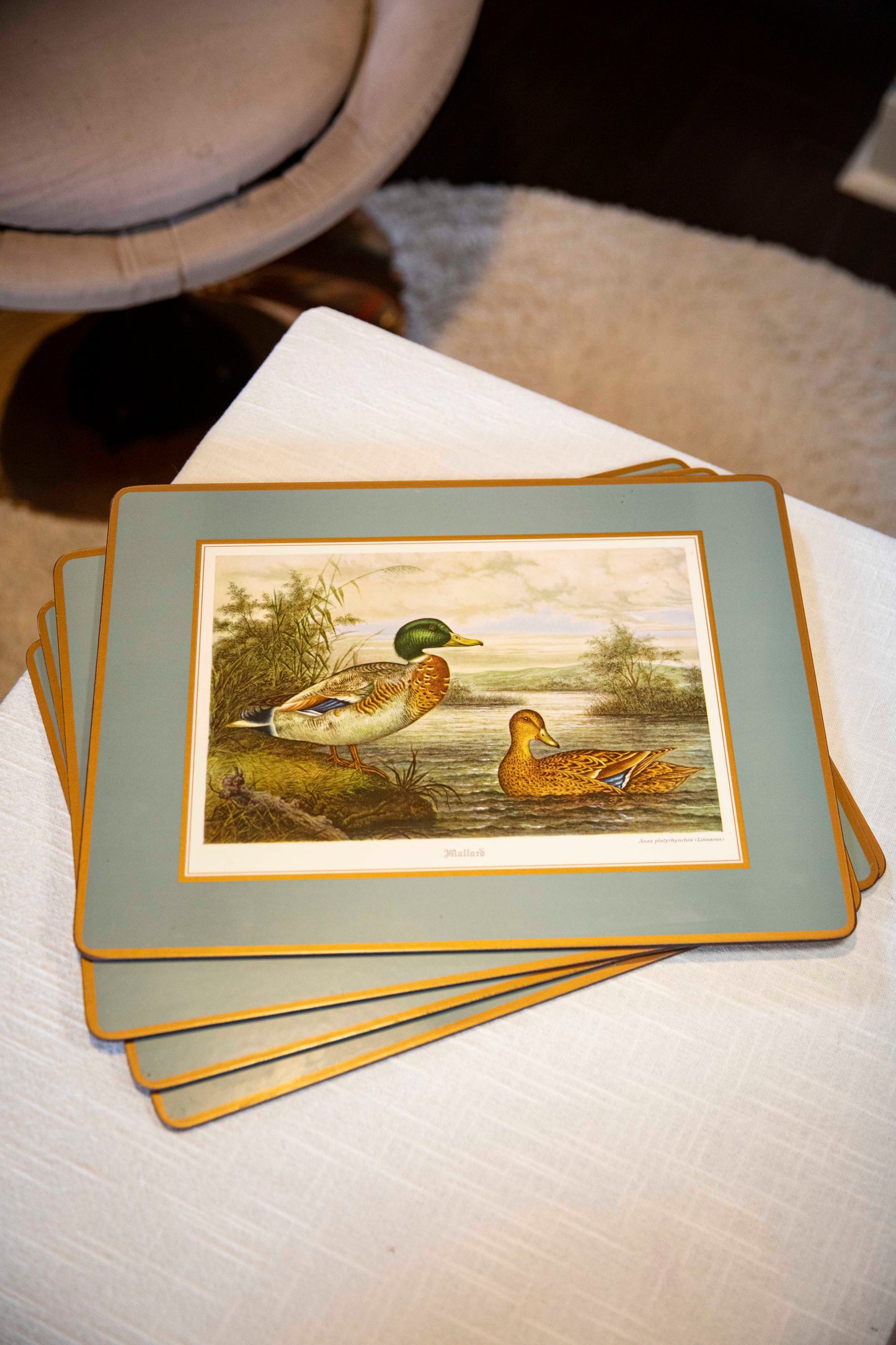 duck placemats set