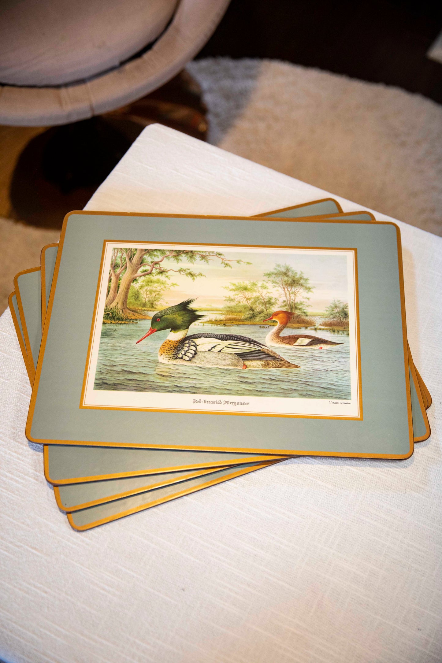 duck placemats set