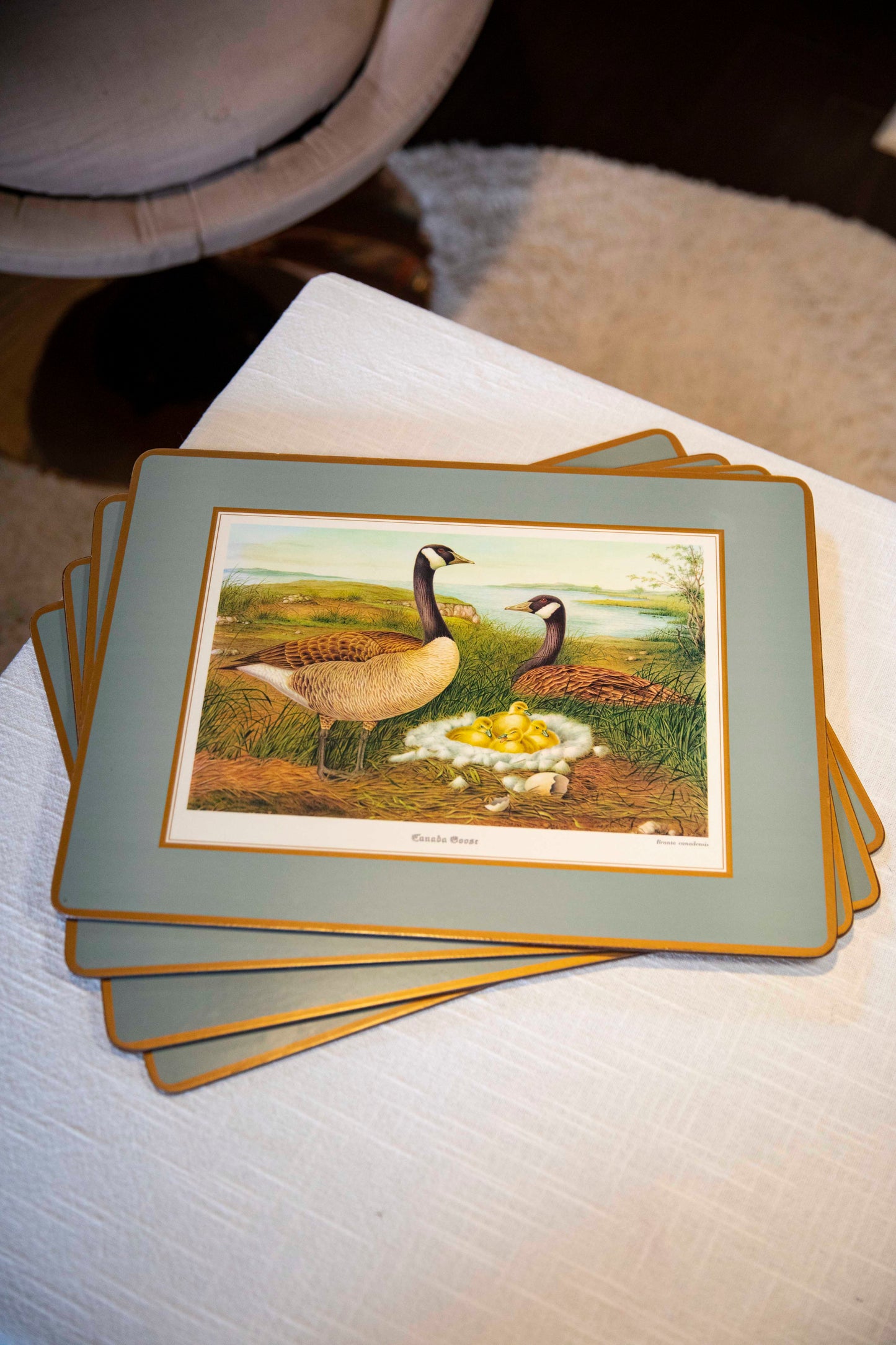 duck placemats set